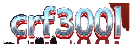 crf300l logo